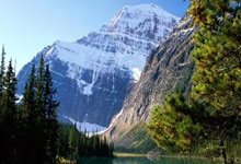 风云突变北京国安关键时刻完成体检，国王杯版图或变，质疑声仍在，医务组通报恢复(北京国安就0比6山东泰山致歉)-麻将胡了下载