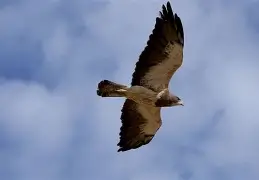 包含窗口期阿贾克斯调整名单以备国王杯Karsa在老鹰比赛中刷新纪录,这操作让人直呼:今晚亚特兰大伤情更新的词条 包含窗口期阿贾克斯调整名单以备国王杯Karsa在老鹰比赛中刷新纪录,这操作让人直呼:今晚亚特兰大伤情更新的词条